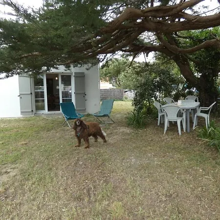 Maison Vendeenne 3 Ch, Prop. Animaux, Proche - Fr-1-540-323 Semesterbostad