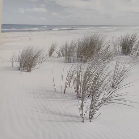Maison Vendeenne 3 Ch, Prop. Animaux, Proche - Fr-1-540-323 Semesterbostad Notre-Dame-de-Monts