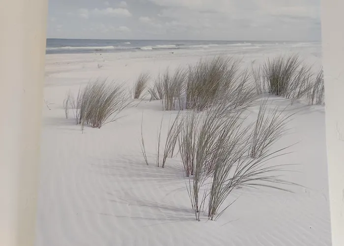 Maison Vendeenne 3 Ch, Prop. Animaux, Proche - Fr-1-540-323 Dom wakacyjny Notre-Dame-de-Monts